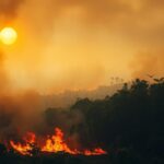 Hutan Terbakar