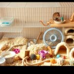 perlengkapan hamster lengkap