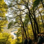 pengelolaan hutan